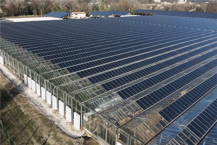 Photovoltaic Agriculture Mounting Structure Solar Farm Mounting System