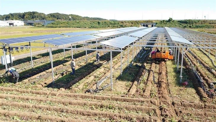 Leading Agri-PV Mounting Technology Providers | Global Options suppliers